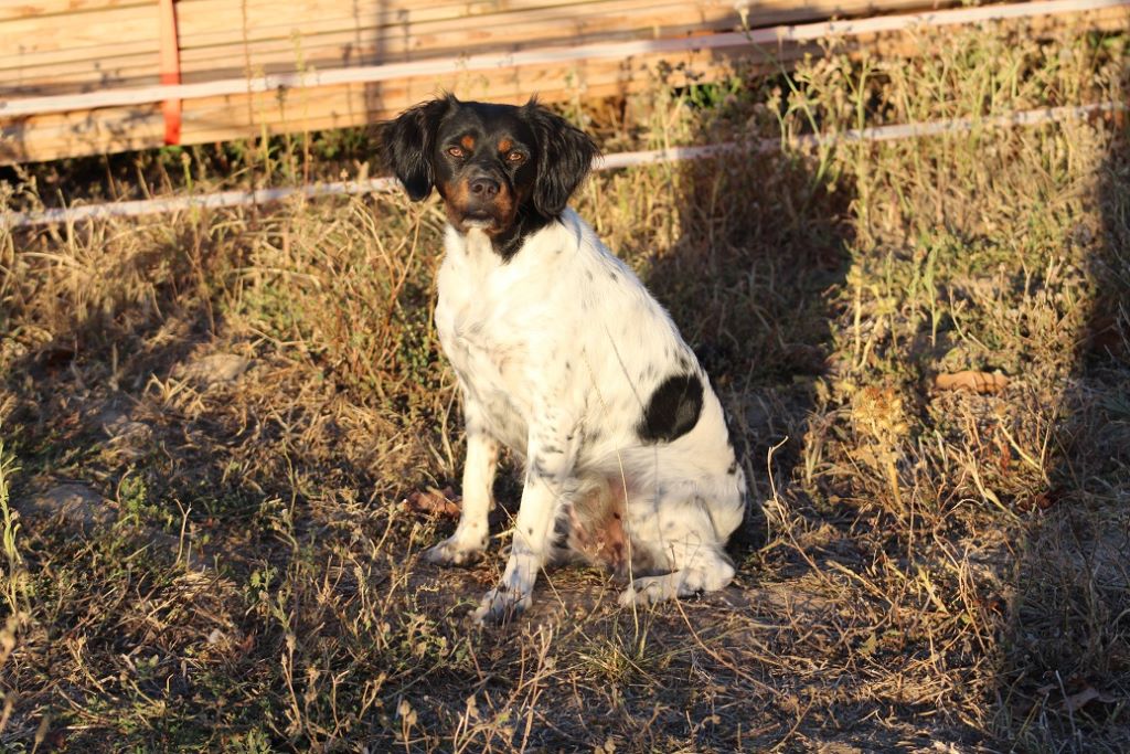 Nina Du Domaine De La Favarie